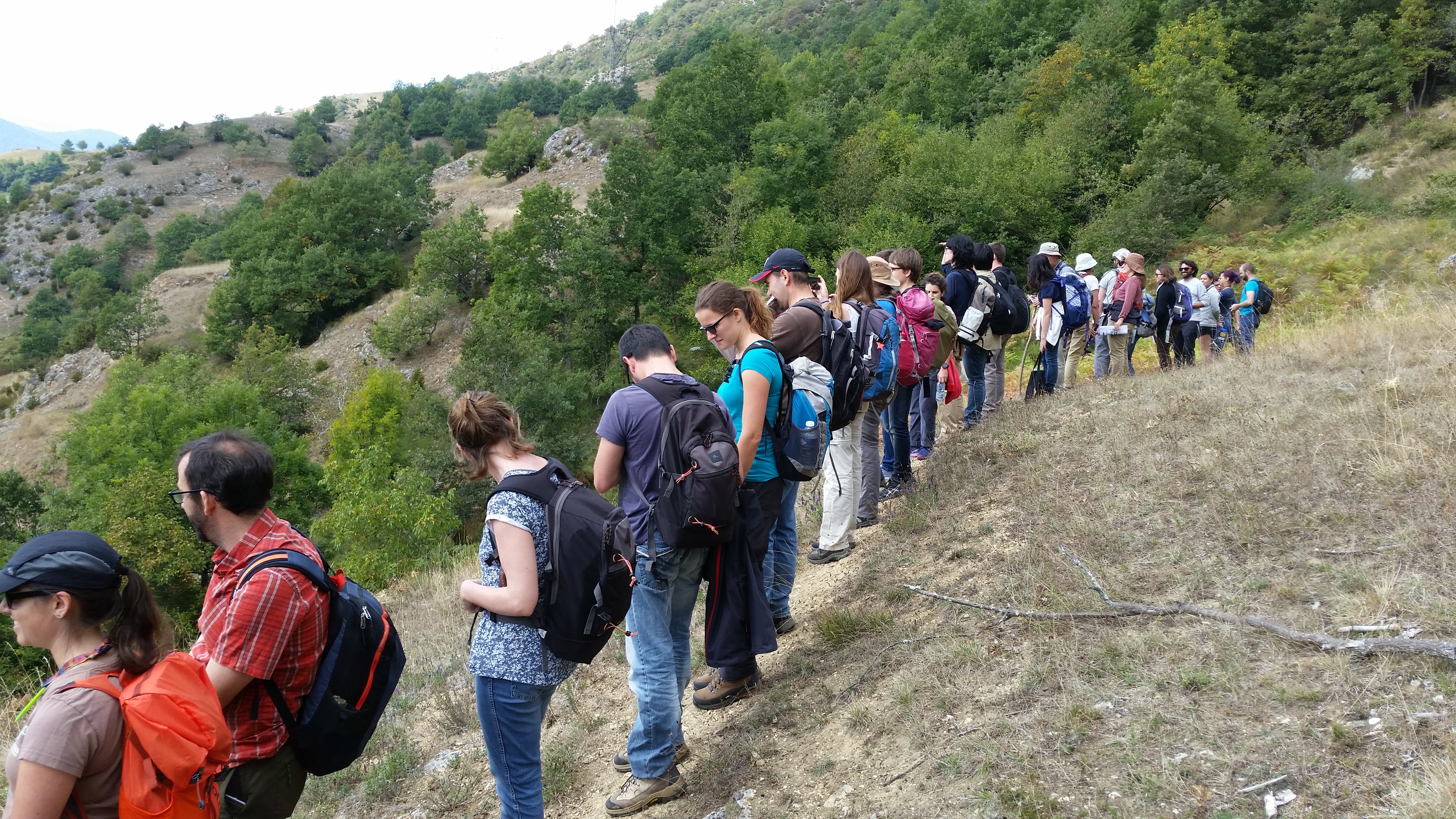 Line of attendees taking in the views of the Pyrenees